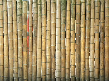 Bamboo texture (ID:ffabg84993)