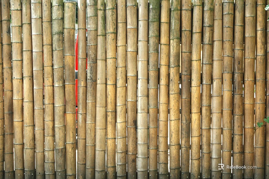 Bamboo texture