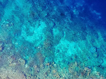 Sea texture (ID:ffabg27267)