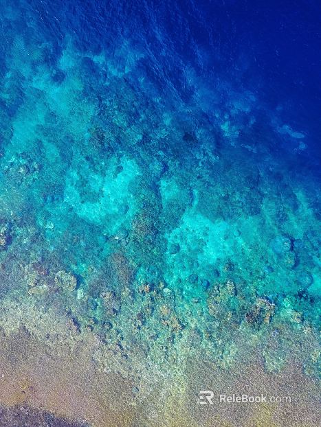 Sea texture