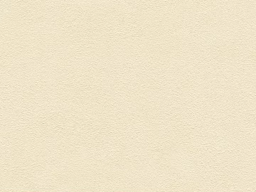 True stone paint texture (ID:ffadg93724)