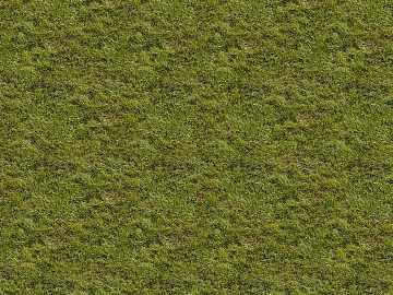 grassland mountain forest grassland texture (ID:ffach588938)