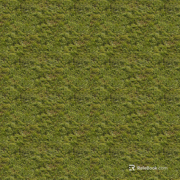 grassland mountain forest grassland texture