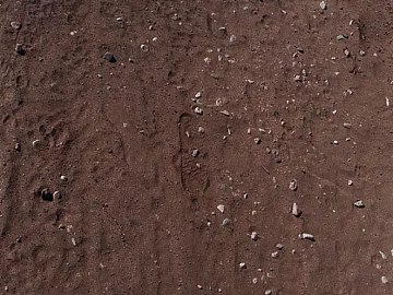 Beach texture (ID:ffacf5388)