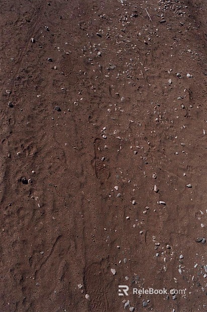 Beach texture