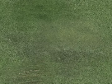 Turf texture (ID:ffaeg62567)