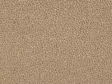 Coarse-grain leather texture (ID:ffach872436)