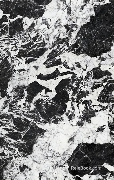 Bulgari Black Marble Rock Slab texture