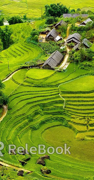 Pastoral scenery texture