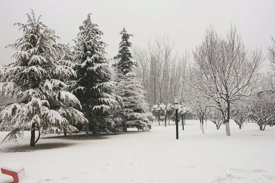 Snow texture
