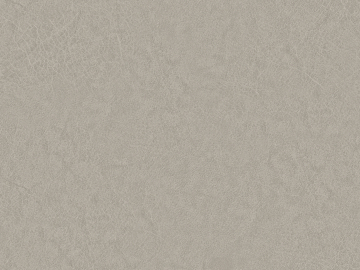 fine grain leather texture (ID:ffagg13413)