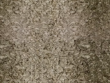 bark texture (ID:ffaag64758)