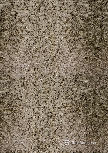 bark texture