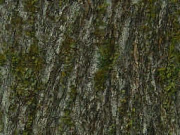 moss texture (ID:ffacg25038)