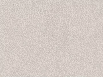 fine grain leather texture (ID:ffagg25311)