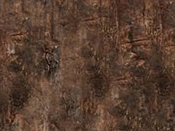 bark texture (ID:ffadg62756)
