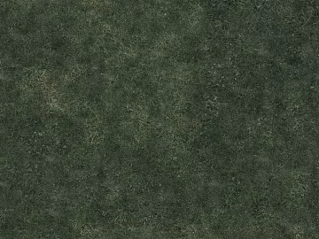Turf texture (ID:ffagg90496)