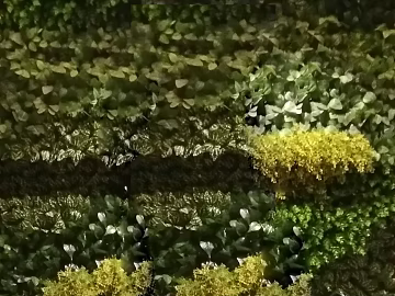 Plant painting texture (ID:ffaag13520)