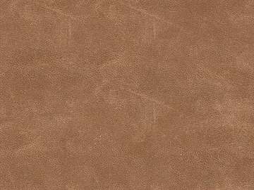 fine grain leather 3d model