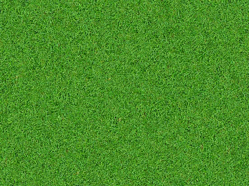 Turf texture (ID:ffacg20781)