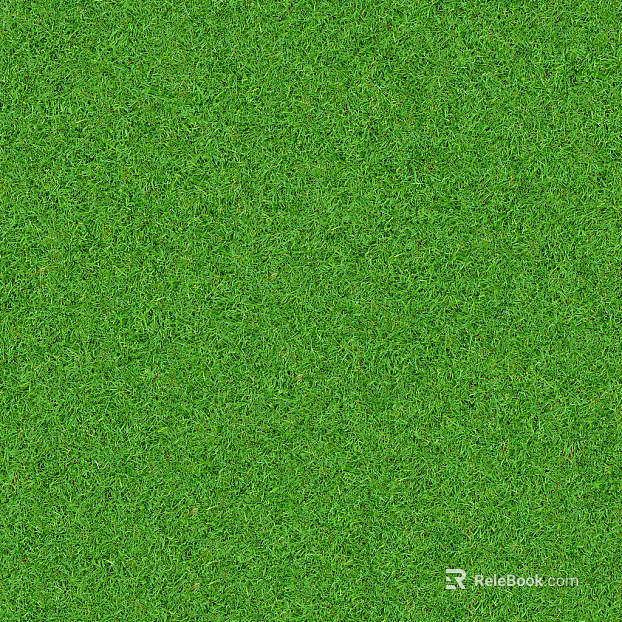 Turf texture