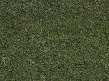 Turf texture (ID:ffaeg02169)