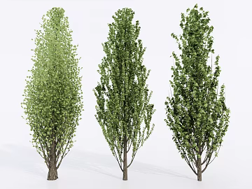 Plants texture (ID:ffaeg70838)