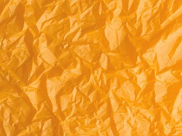 fold 3d model