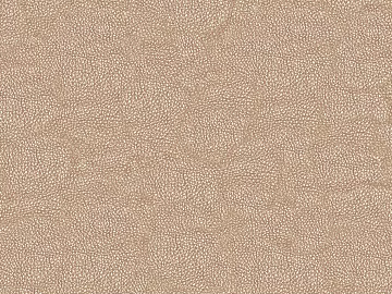 fine grain leather texture (ID:ffaeg52971)