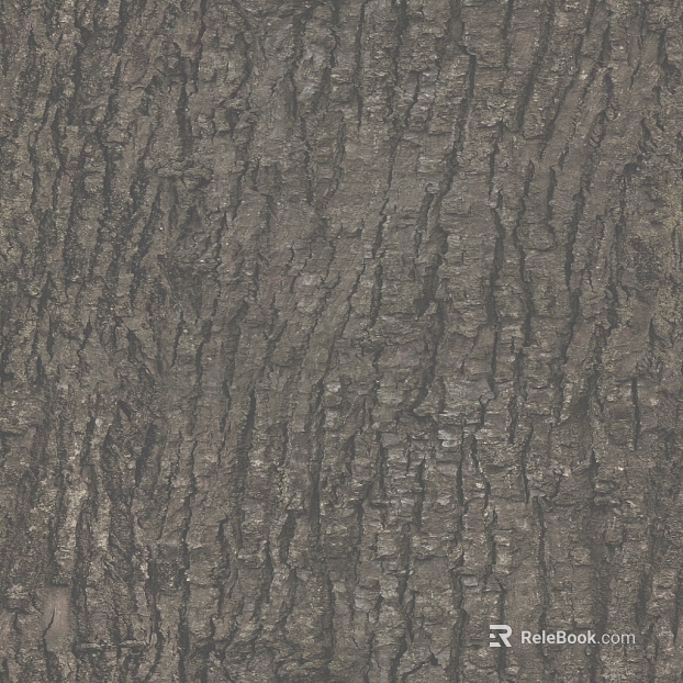 bark texture