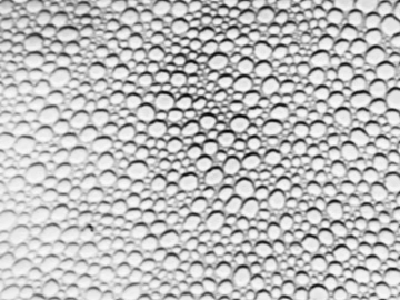 Pebbles texture (ID:ffagg72494)