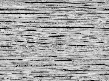 Black and white wood grain texture (ID:ffaff7585)