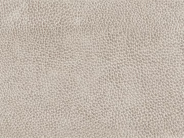 fine grain leather texture (ID:ffaeg90567)