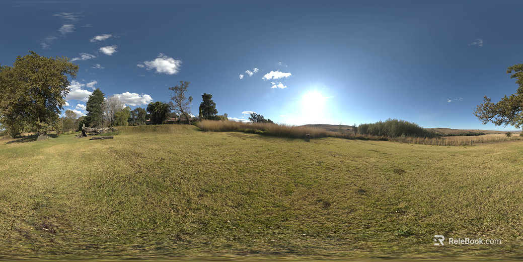 Outdoor lawn day HDR texture