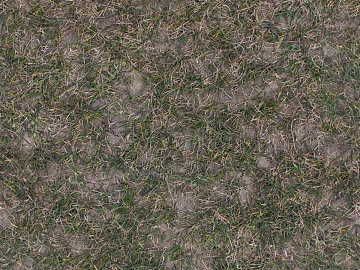 turf lawn soil ground texture (ID:ffach007806)