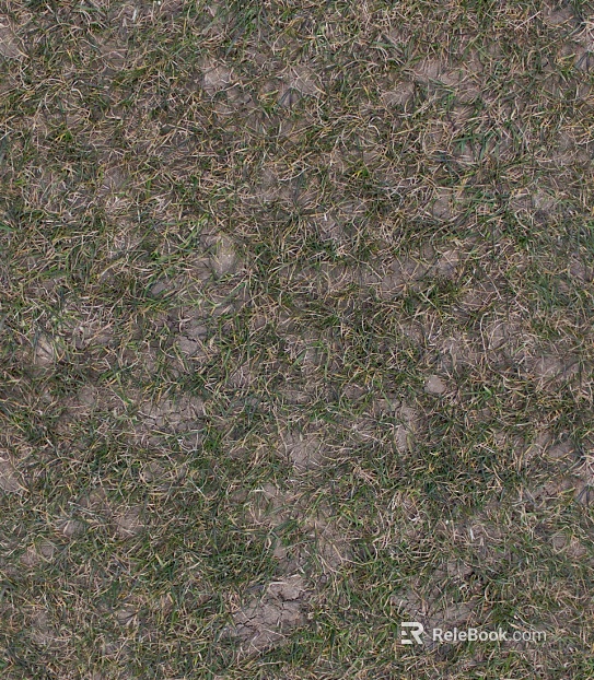 turf lawn soil ground texture