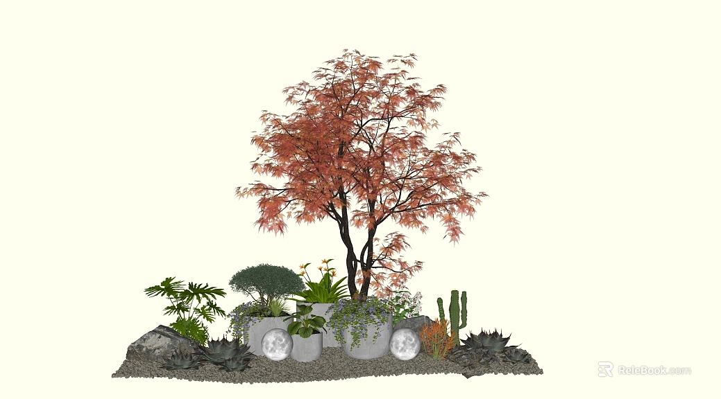 Red Maple Garden Plant Combination texture
