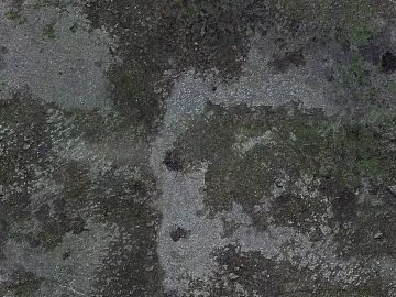 gray green moss cement ground texture (ID:ffaeh212866)