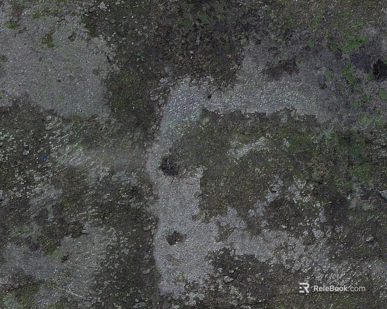 gray green moss cement ground texture