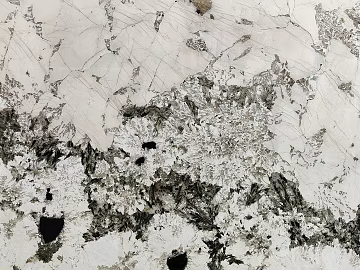 peacock open screen marble texture (ID:ffach562748)