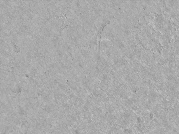 Cement texture (ID:ffajg29248)