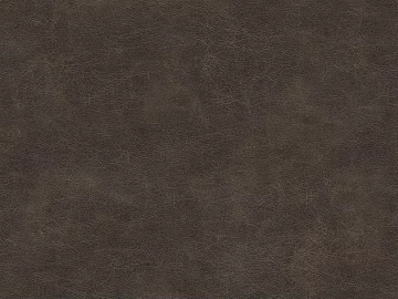 Coarse-grain leather 3d model