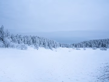 Snow texture (ID:ffach576980)