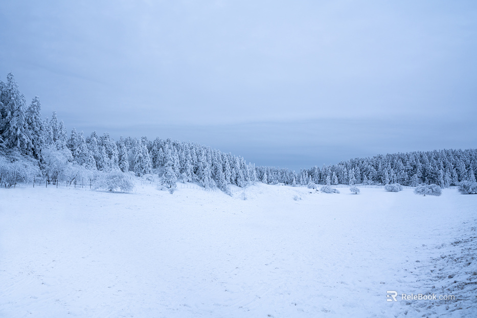 Snow texture