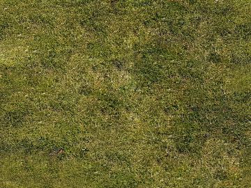 Turf texture (ID:ffagf2393)
