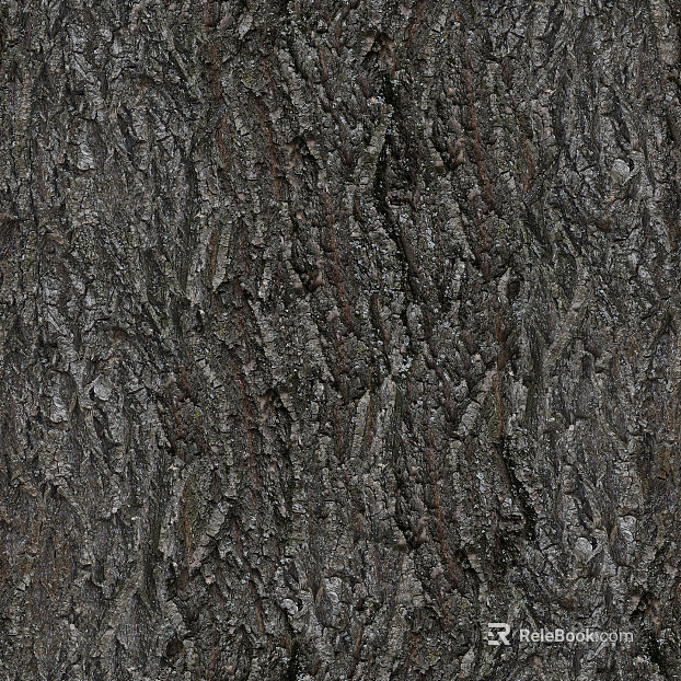 bark texture