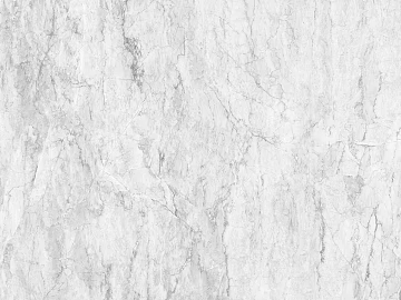 Black and White Bump texture (ID:ffach486401)