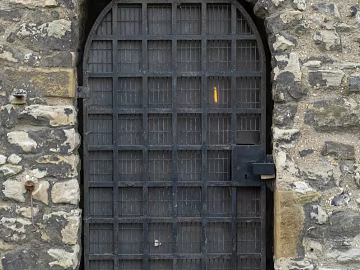 Retro Door texture (ID:ffajg35655)