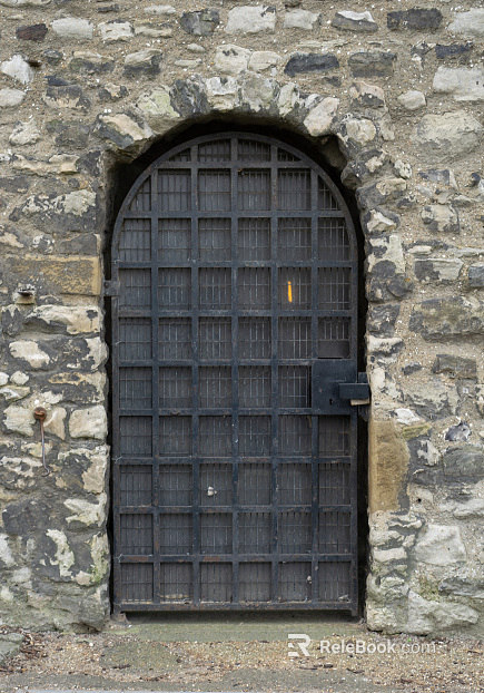 Retro Door texture