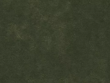 Grassland texture (ID:ffacg10468)